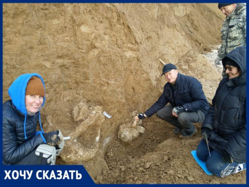 Назад в прошлое: на берегу Таганрогского залива учёные нашли останки мамонта