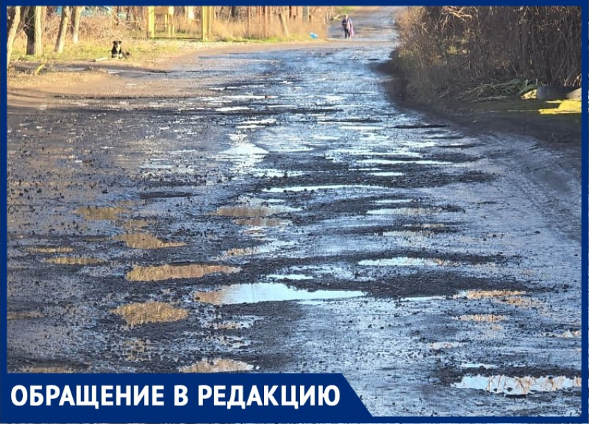 Крик о помощи председателя садового товарищества под Таганрогом тонет в воздухе