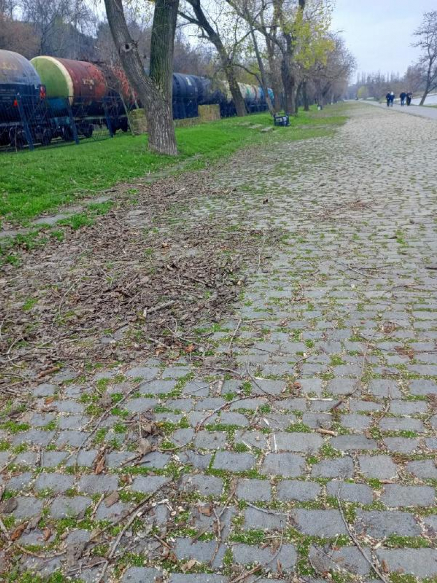 Что думают таганрожцы о новогоднем решении властей?