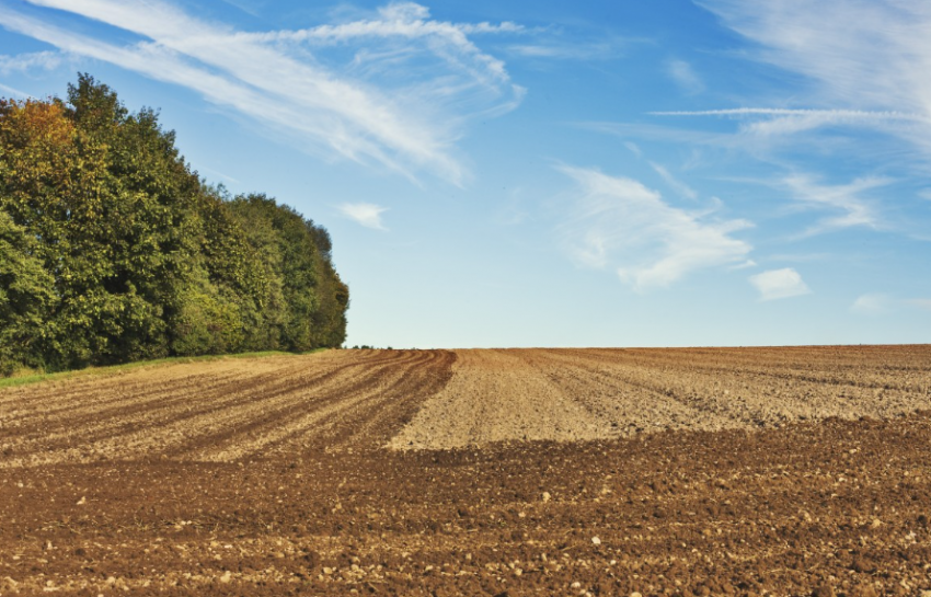 Слюсарь обещал дожди: таганрогские аграрии начали сев озимых в надежде на прекрасный урожай