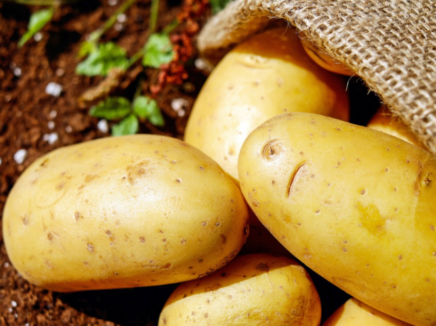 Когда лучше всего выкапывать картофель: совет агрономов для таганрожцев
