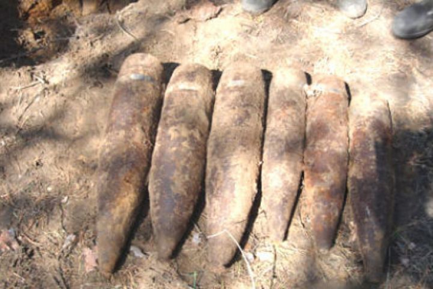 Более 50 снарядов были обнаружены под Таганрогом
