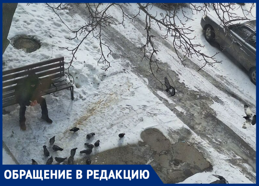 Таганрожцы падают как «коровы на льду» пока коммунальщики сыпят тонны реагентов