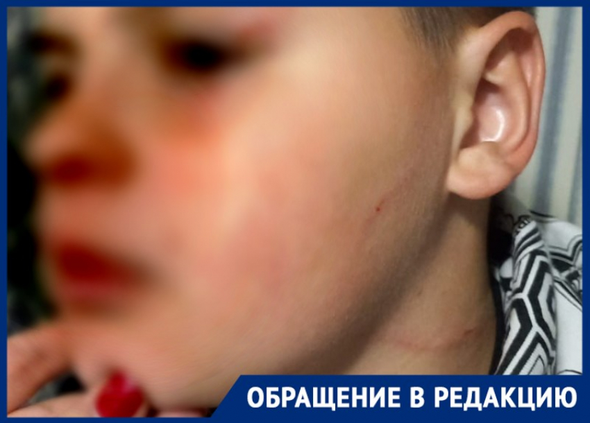 "Сумасшедшая мамаша!": в парке 300-летия Таганрога на детей напала местная жительница 