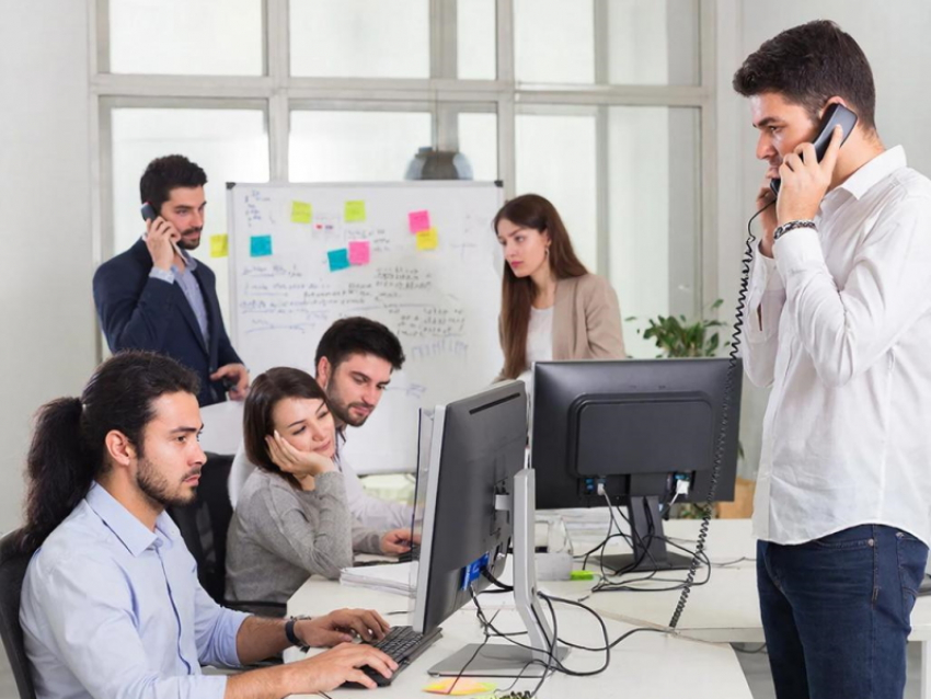 Неприкасаемые: таганрогским фирмам объяснили, чем грозит установка испытательного срока вчерашним выпускникам