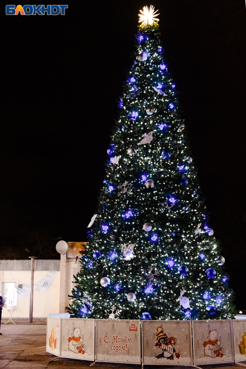 Почему именно елка: новогодний экскурс в историю для таганрожцев