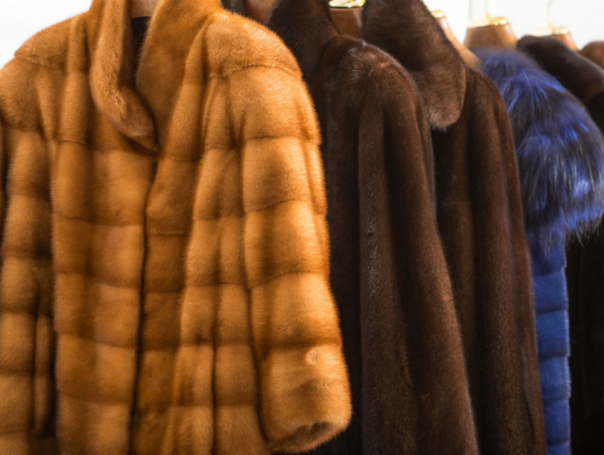 Дела о меховых шубках направлены правоохранителям Ростовской области