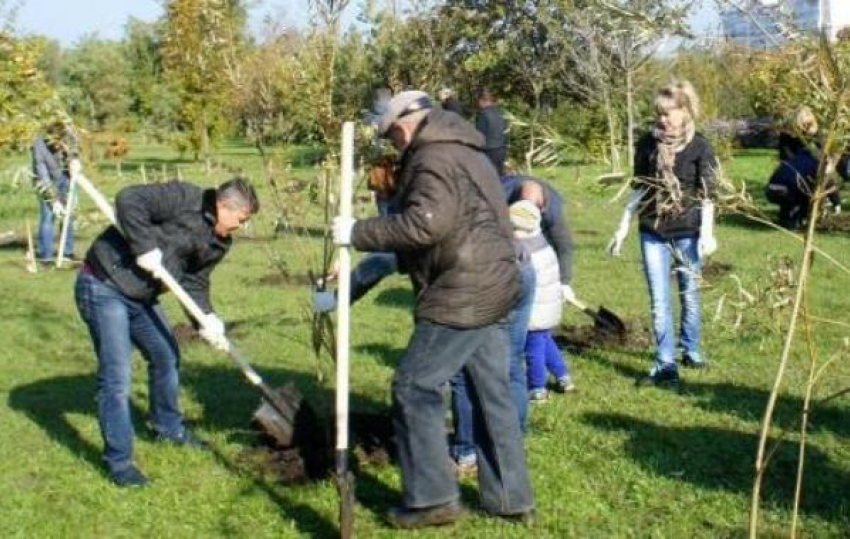 В Таганроге прошел День древонасаждения