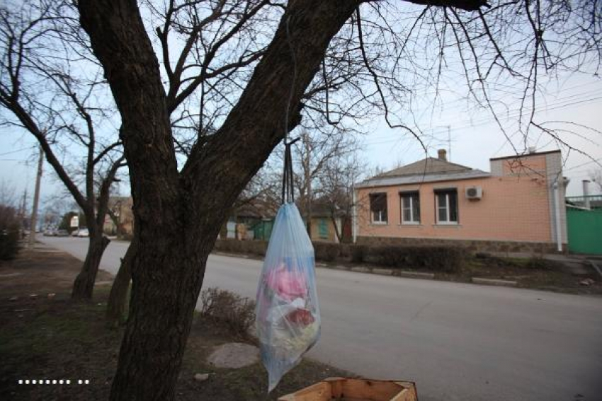 В центре Таганрога предприниматели взялись за поддержание чистоты