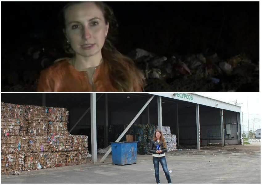 От свалки с крысами до раздельного сбора мусора – какой путь прошла за 4 года компания «Экотранс»
