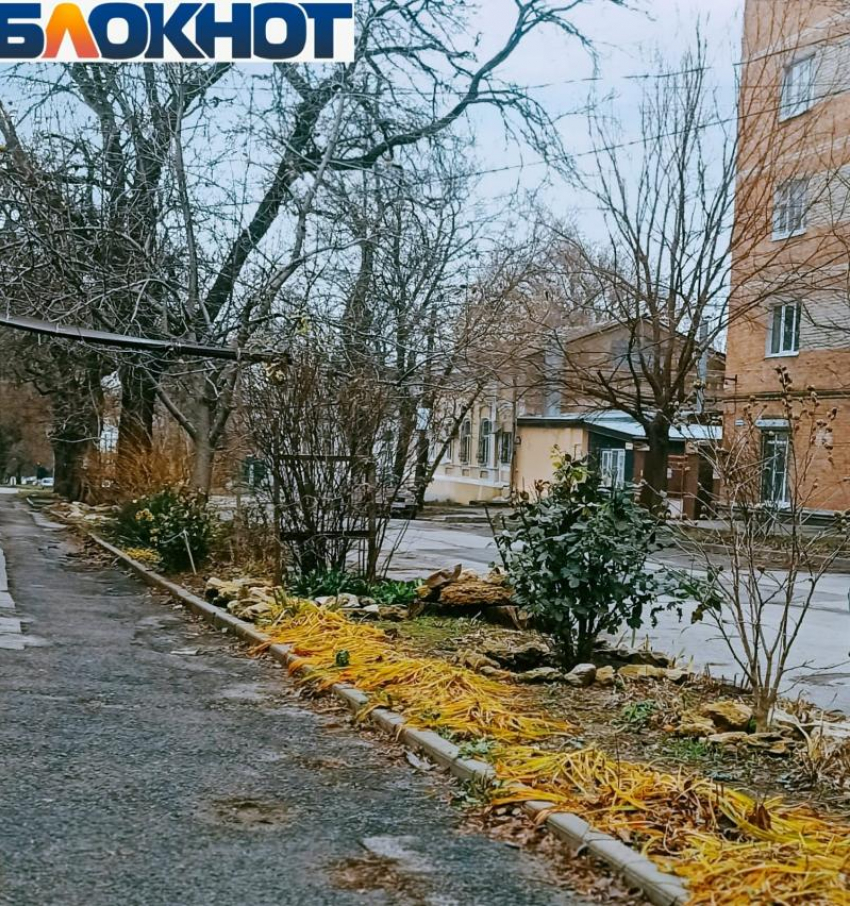 Зимних морозов в Таганроге ждать не стоит: прогноз погоды на выходные