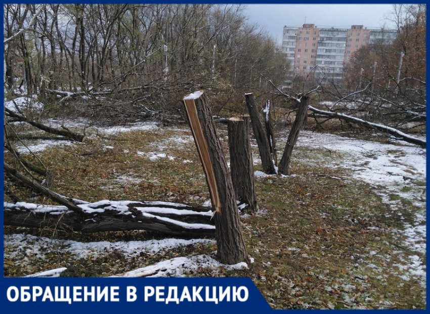 "Благоустройство» общественных мест в Таганроге