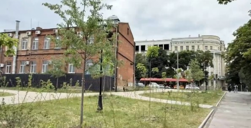 В Таганроге стало зеленее: в двух скверах закончили высадку деревьев