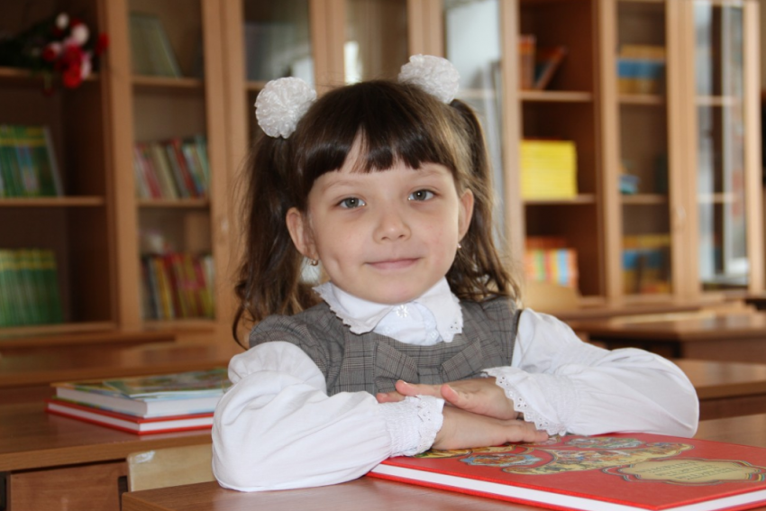 День знаний в Таганроге: линейки пройдут внутри школ