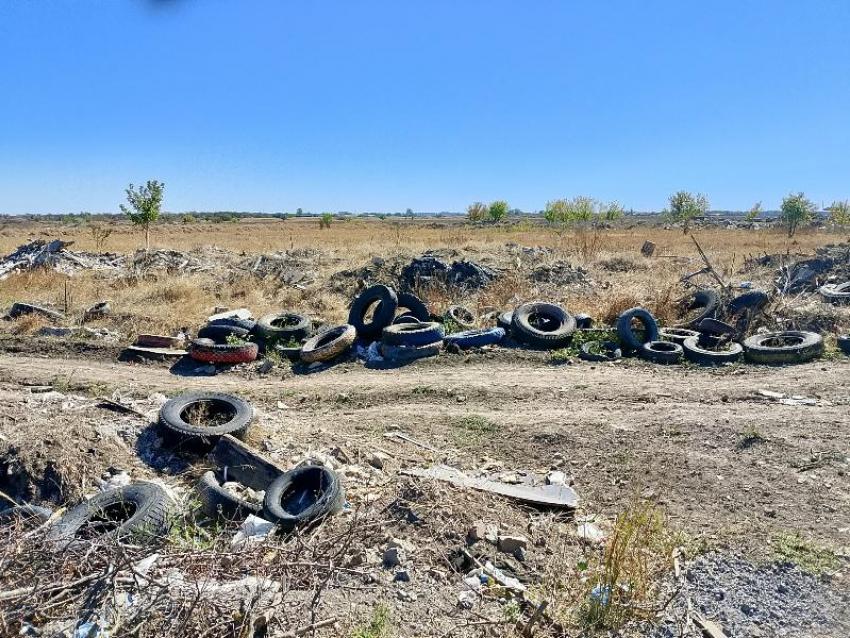 Для охоты на «серых возчиков» в Таганроге установили камеры