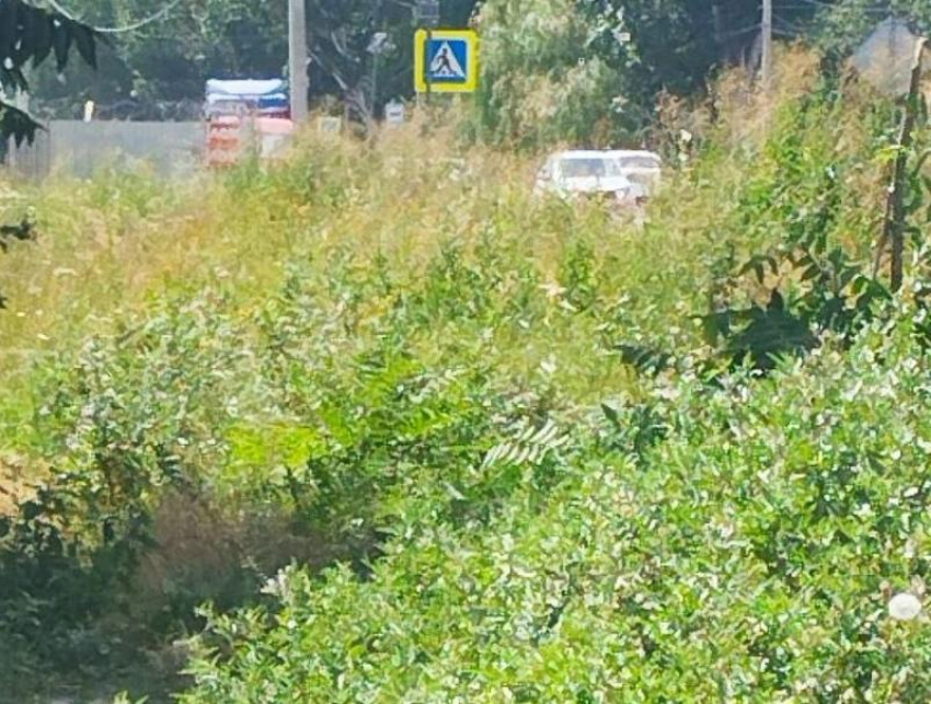 Тротуара пока не будет: власти Таганрога снова разочаровали жителей Мариупольского шоссе