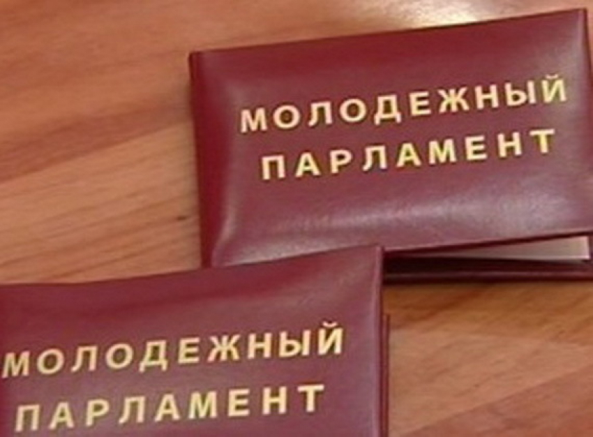 В состав Молодежного парламента Таганрога хотят попасть 44 кандидата