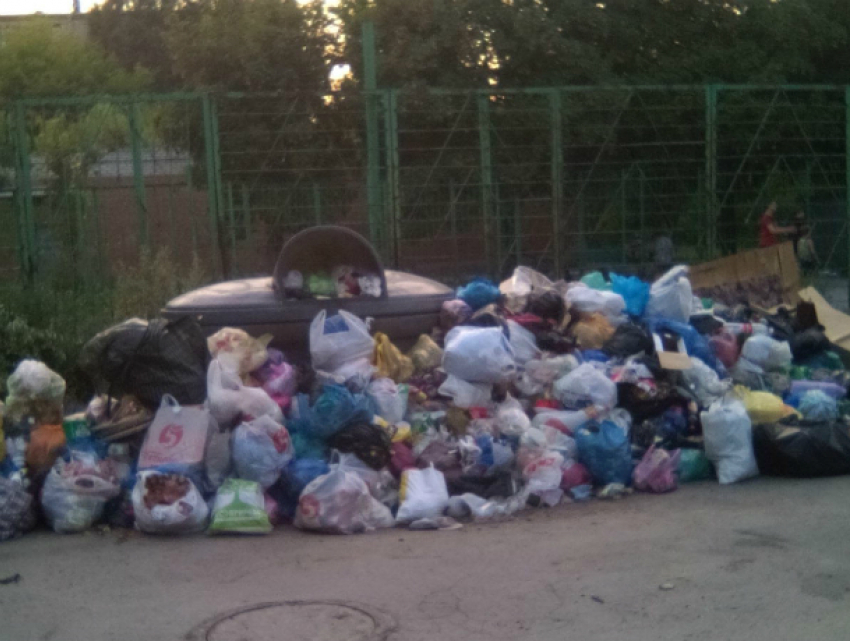 Жильцы  улицы Театральной  пожаловались на  Спецавтохозяйство,  которое утопило их в мусоре