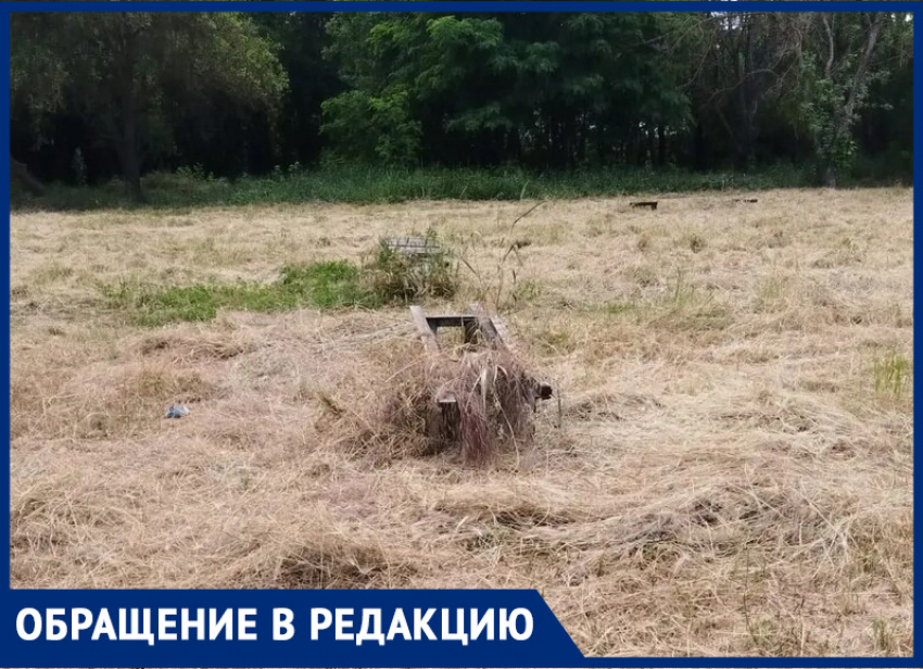 "Спичку кто-то бросит и заживо сгорим": таганрожцы жалуются на опасный сеновал на Циолковского