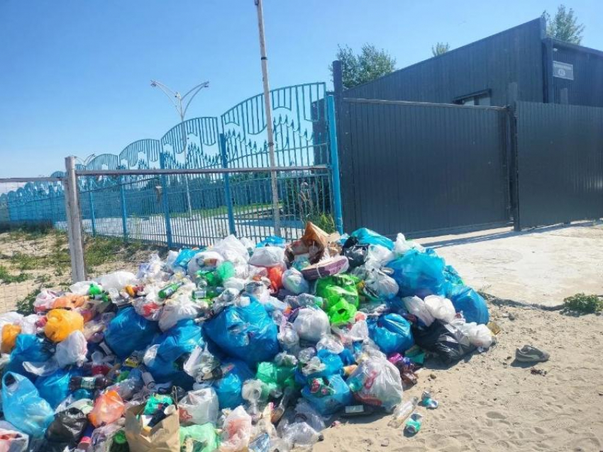 "Ароматы» и пейзажи Таганрогского залива могут снова «порадовать» туристов