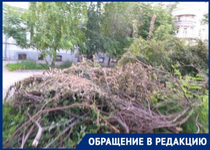 В Таганроге сухие деревья спили и в кучи зачем-то сложили