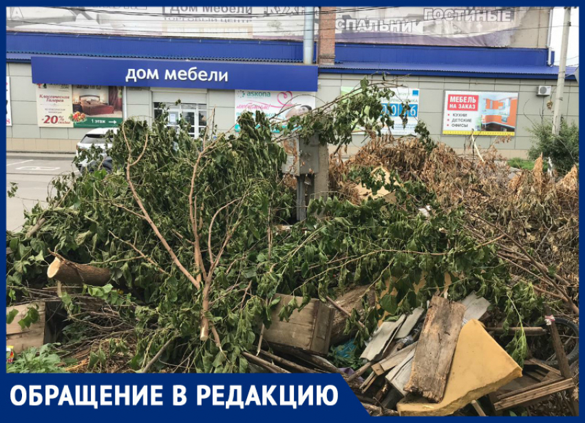 На улице Фрунзе в Таганроге заваливают ветками одинокий счетчик