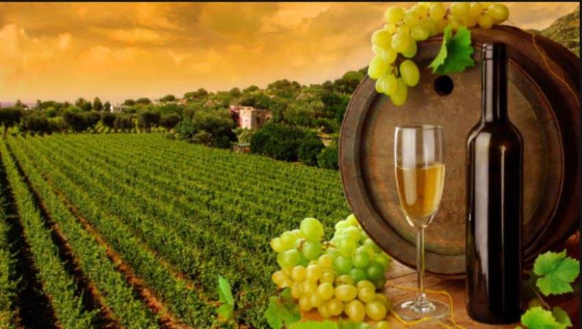 «Блокнот» стал международным