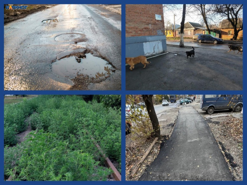 Город без присмотра: как МКУ «Благоустройство» умудрилось провалить всё, к чему прикоснулось 