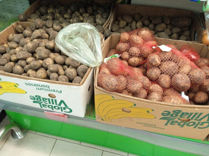 "Золотые» клубни: почему в Таганроге картошка дороже, чем в Новосибирске