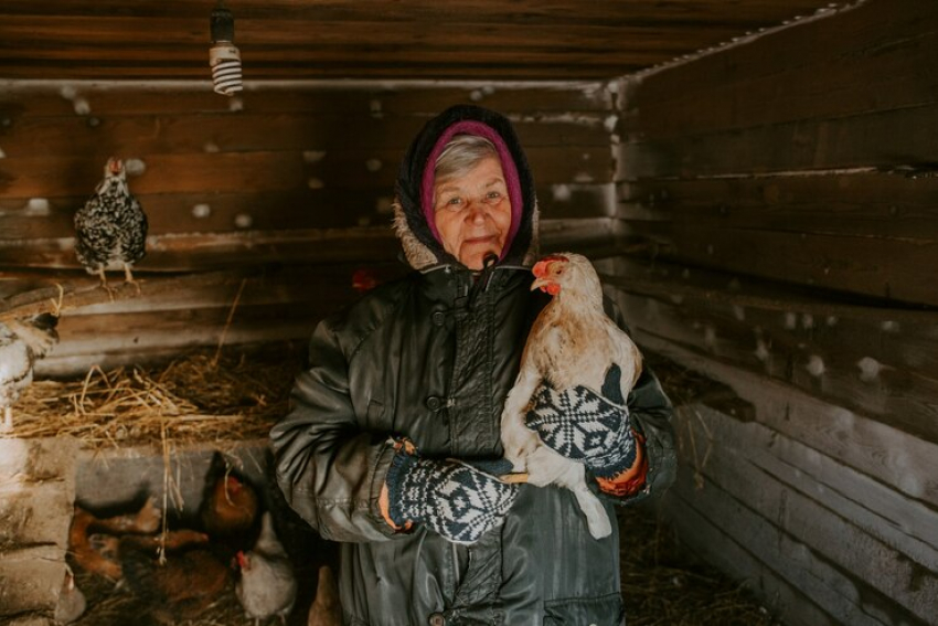 «Вот тебе, бабушка, и Юрьев день!», какие приметы были в этот день у наших предков