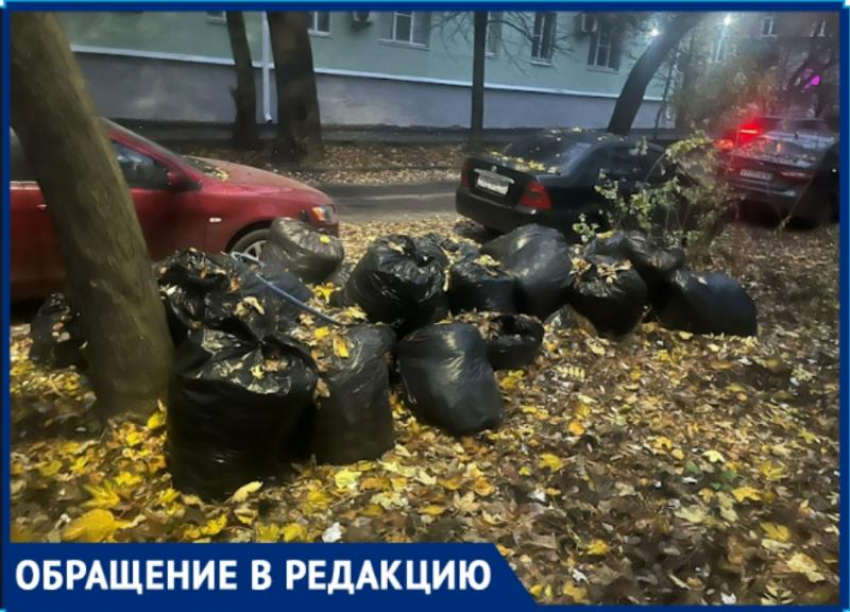 Катастрофа и антисанитария: мешки с листвой уже много месяцев гниют на переулке в Таганроге