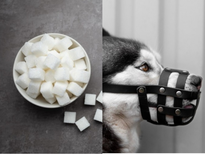 Сахар по три рубля плюс перец с намордником в довесок: как жил Таганрог 24 апреля 1931 года