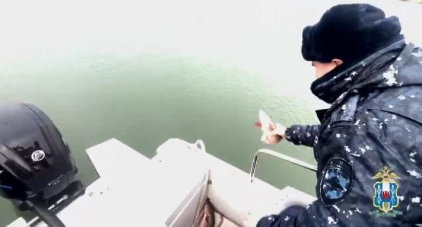 850 метров сетей и 40 кг рыбы: в Таганрогском заливе прошли рейды по защите биоресурсов