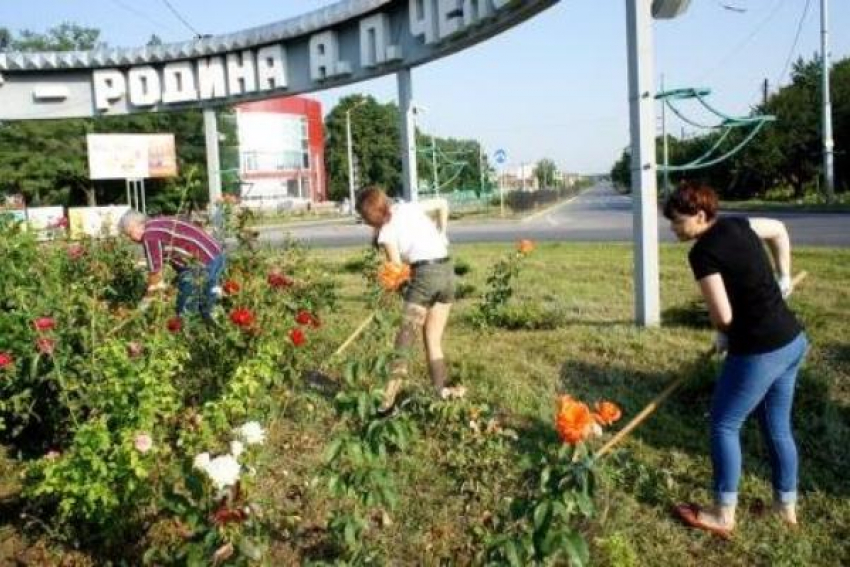 Студенты призывают таганрожцев украсить город цветами