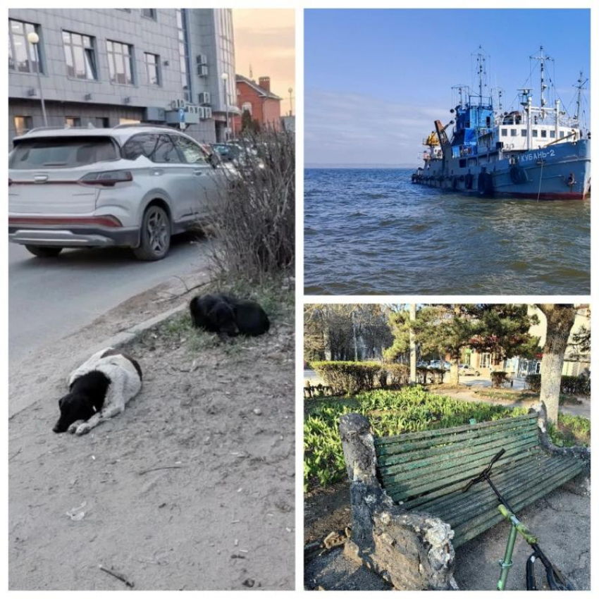 Таганрогский порт готовят к приёму круизных лайнеров, но звать гостей в город всё ещё стыдно