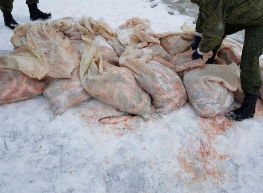 В Таганроге задержан мужчина, наловивший рыбы почти на 2 млн рублей
