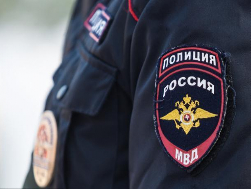 Полиция Таганрога не желает иметь дело с живодерами