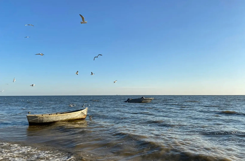 Таганрогский залив стремительно догоняет Чёрное море по уровню солёности