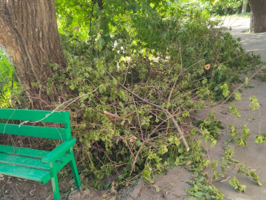 Не царское дело ветки убирать- работники ООО «УК"ЖКО» бросили  мусор под ноги жильцам