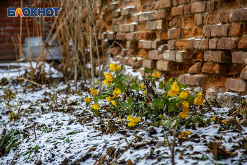 3 декабря: День Прокла и важные предостережения для таганрожцев 