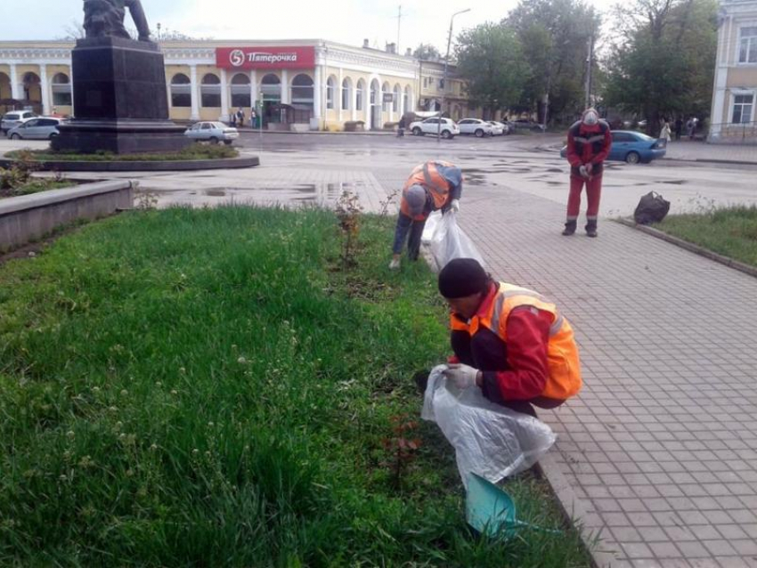 Коммунальные службы Таганрога поддержали инициативу таганрожцев обустроить клумбы у памятника Чехова