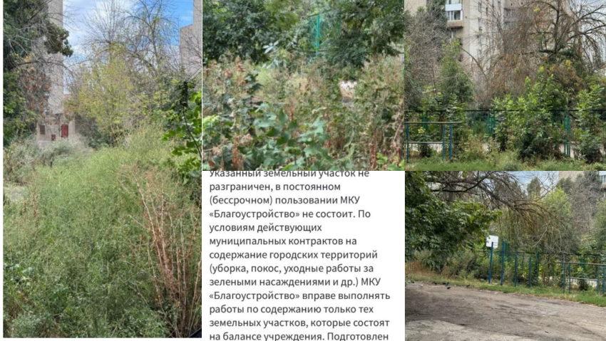 Заросли выше человеческого роста: таганроженка сообщила о заброшенной спортплощадке, а в ответ получила отписку от властей