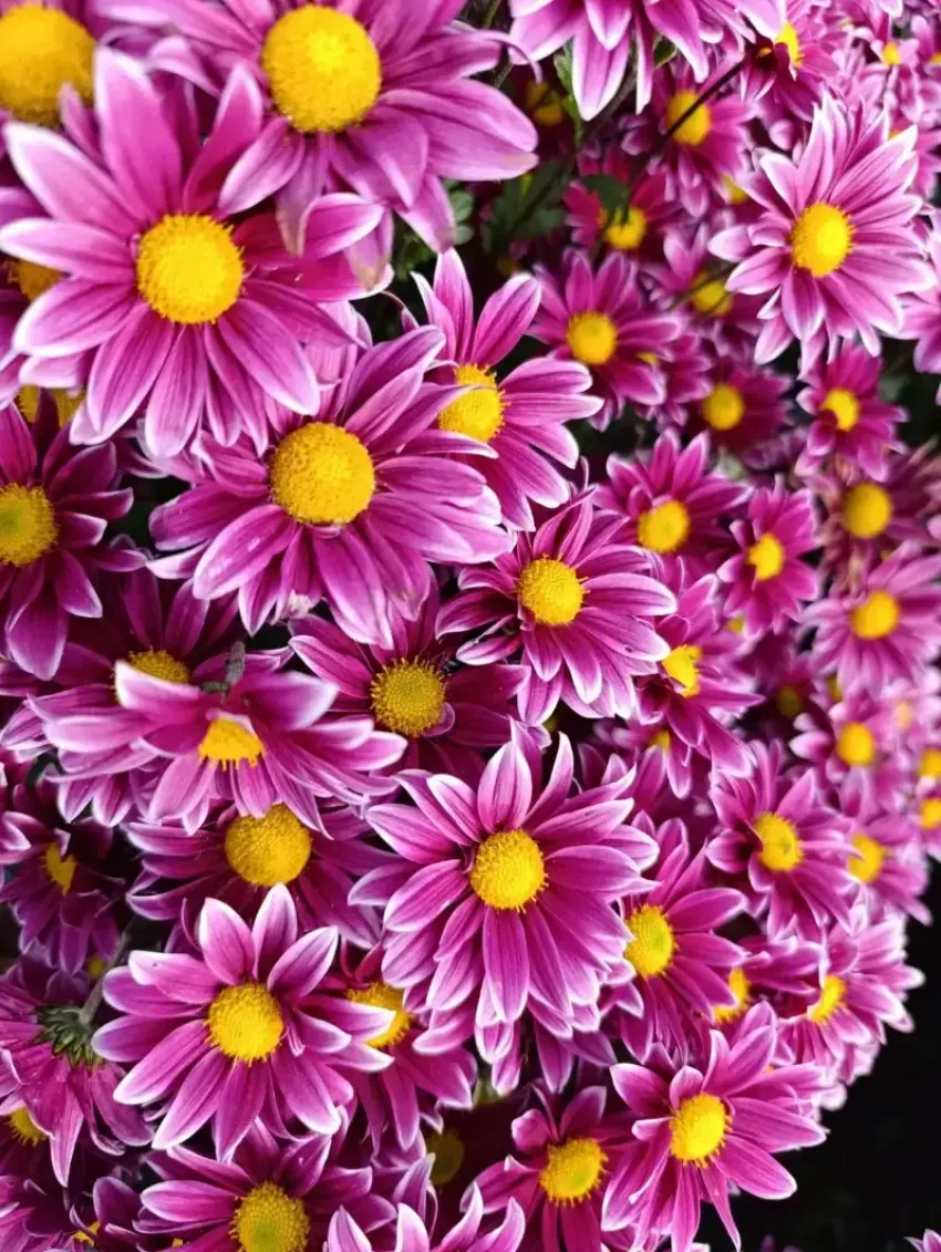 Товар дня: скидка на тур в Крым