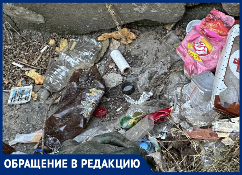 "Зловоние, мыши и тараканы": жители микрорайона Дубки в Таганроге жалуются на антисанитарию