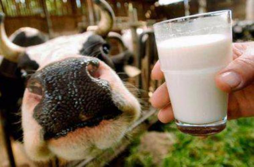Таганрожцев призывают покупать мясо –молочные продукты только в стационарных торговых точках