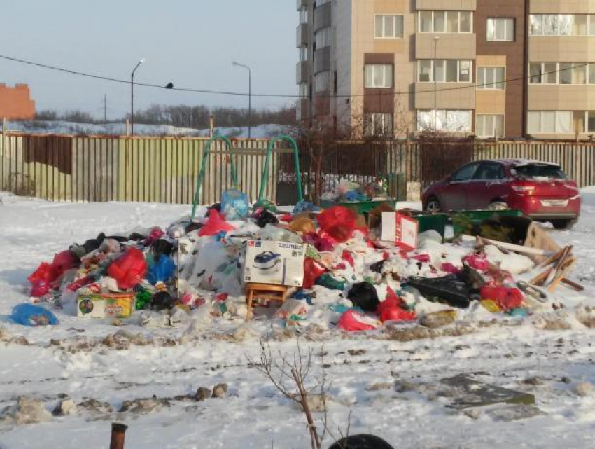 Самым замусоренным городом области оказался Таганрог