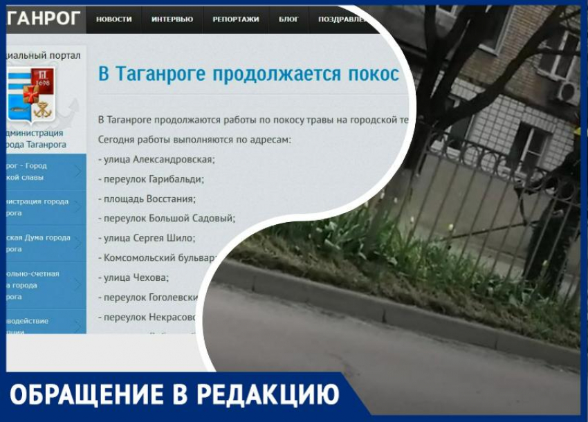 Отчёты и реальность: таганрожцы показали, как идёт покос травы по улице Чехова