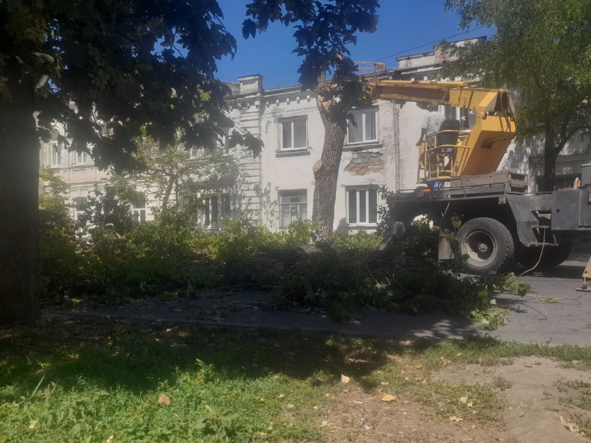 Петровская в Таганроге перекрыта: пилят деревья