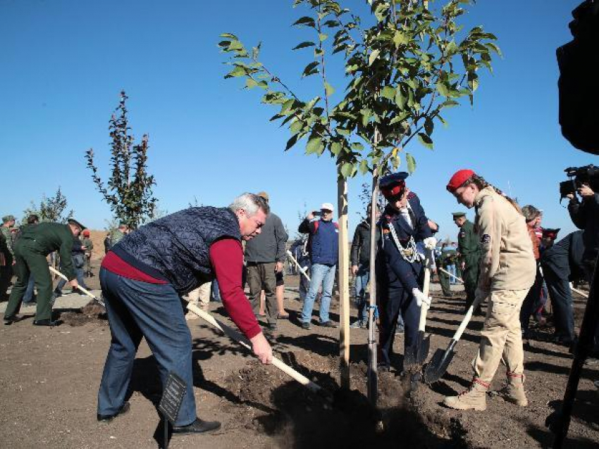 Почти 200 деревьев высадили в саду Победы на «Самбекских высотах» под Таганрогом