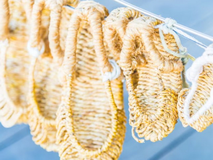 Чесать уши и делать комплименты: что можно и нельзя делать на Лаптев день, 22 февраля